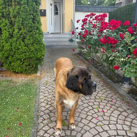 Bei Der Doppelzimmer
